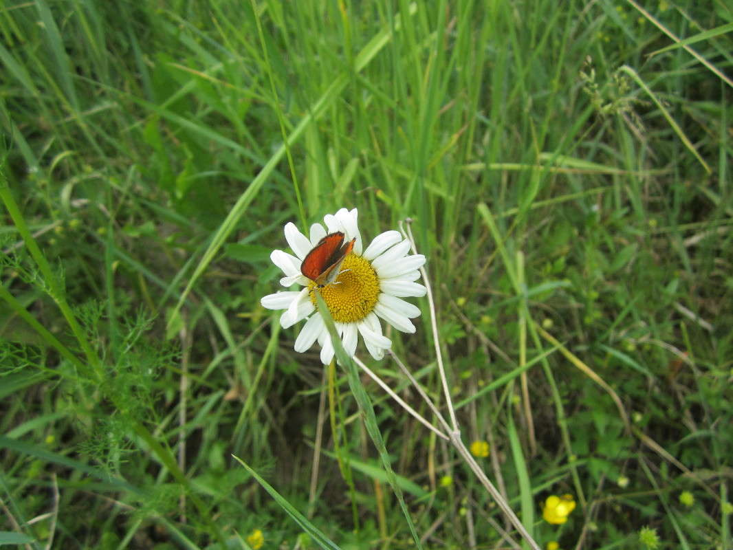 ������� ����� ������� ������ �� PhotoGeek.ru #�������� ���