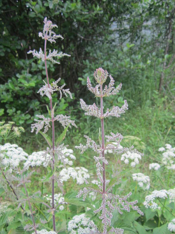 ������� ���� � � �������� ������� ����� ������� ������ �� PhotoGeek.ru #������ ��� �������