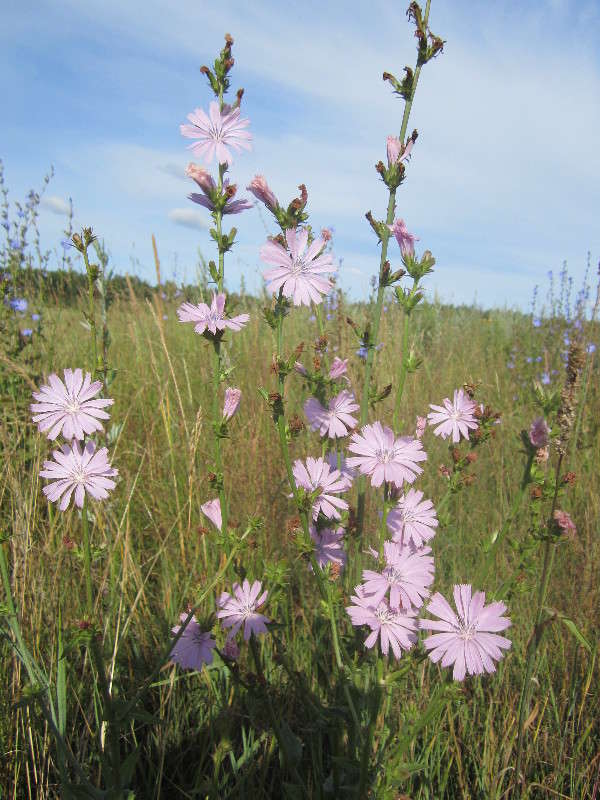 �������� ����� ������� ������ �� PhotoGeek.ru #������ ��� �������