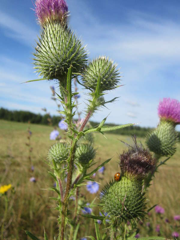 ���������� ����� ������� ������ �� PhotoGeek.ru #������ ��� �������