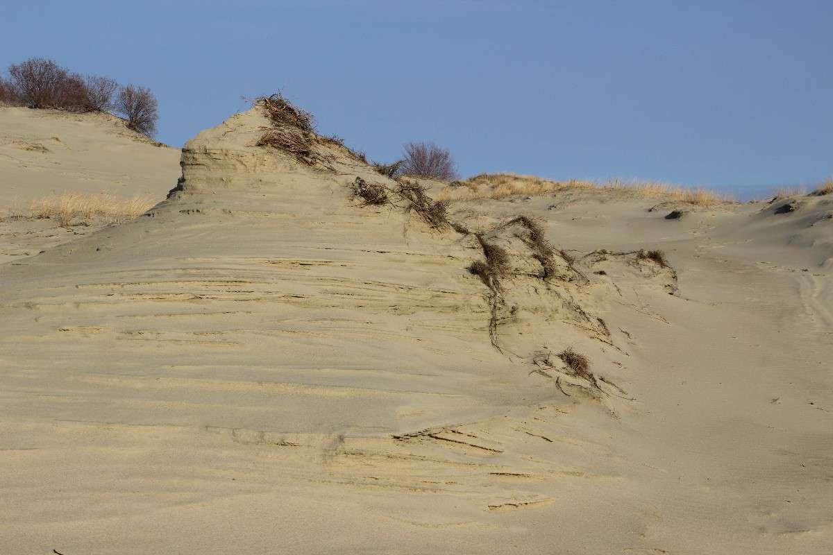 ... ����� ��������� �������� �� PhotoGeek.ru #������ ��� �������