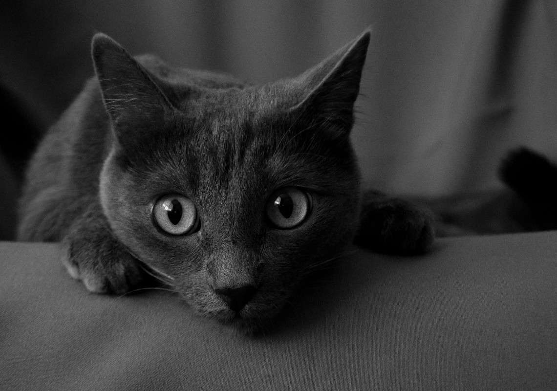 � ��� ������ ����... ����� ����� �������� �� PhotoGeek.ru #�������� ���