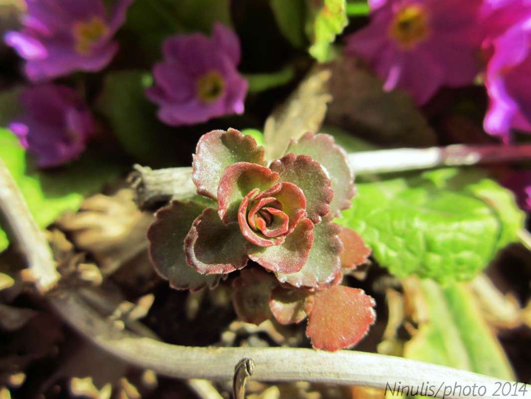 ... ����� ���� �������� �� PhotoGeek.ru #����� #������ ��� �������