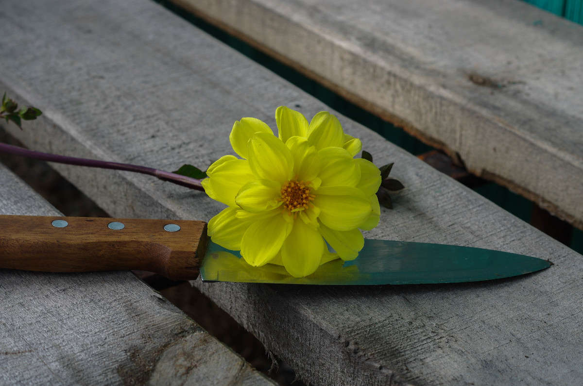 ����� ������ ����������� ����� njkzy ��������  �� PhotoGeek.ru #�������� ����������