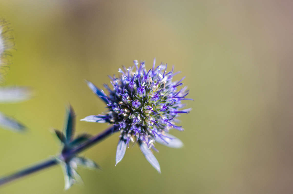 � ������ ����� njkzy ��������  �� PhotoGeek.ru #������ ��� �������