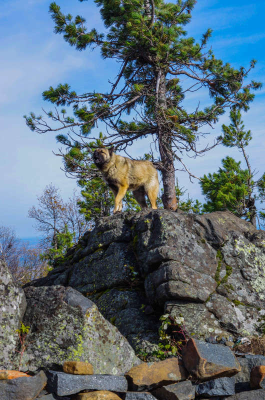 ������ ����� njkzy ��������  �� PhotoGeek.ru #�������� ���