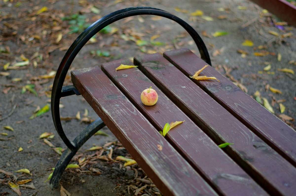 ����� � ������ ����� njkzy ��������  �� PhotoGeek.ru #������ ��� �������