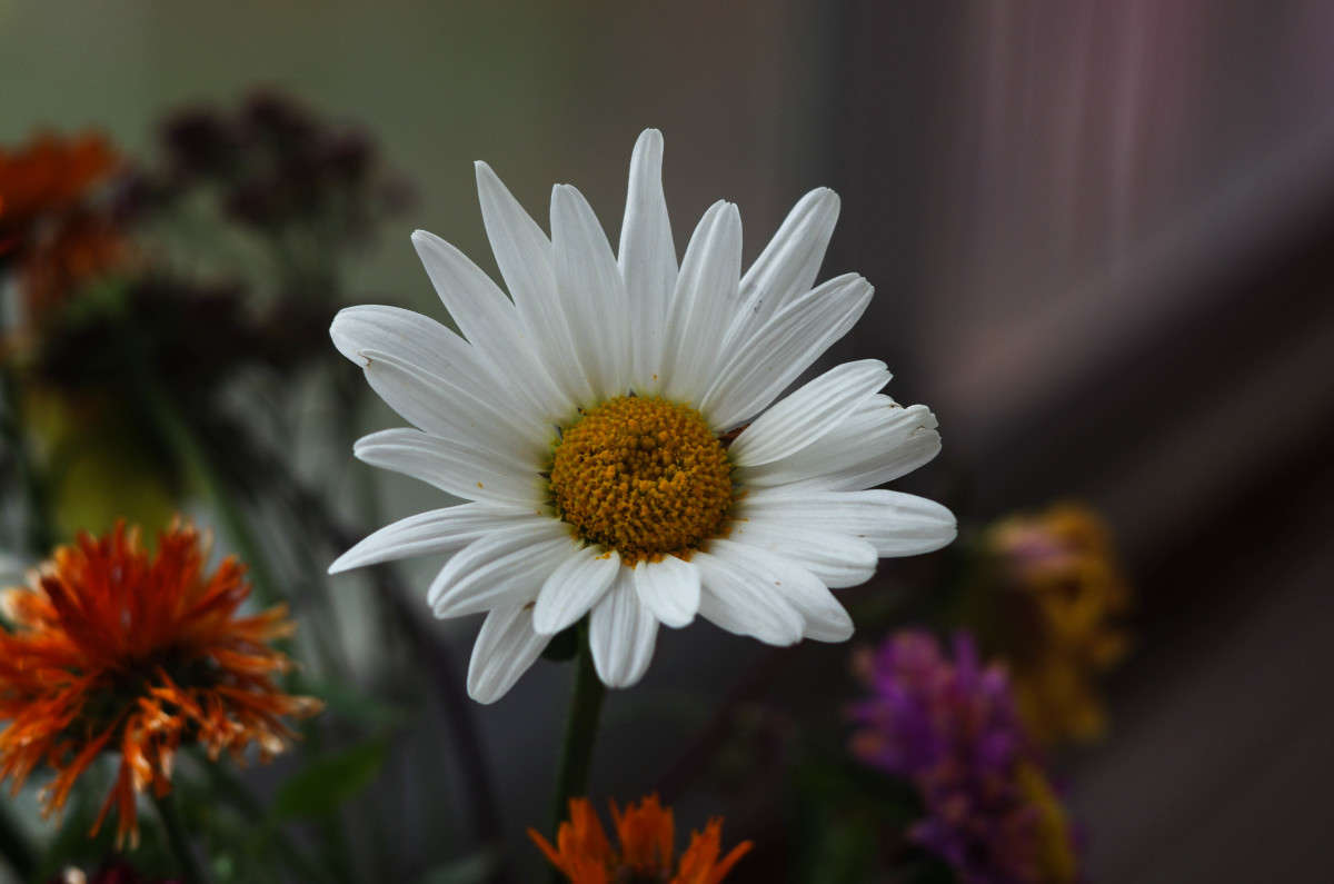 � ������ ����� njkzy ��������  �� PhotoGeek.ru #������ ��� �������