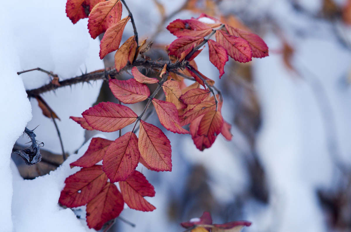 ���� ����� njkzy ��������  �� PhotoGeek.ru #������ ��� �������