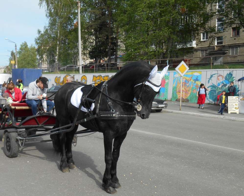 �������� ����� njkzy ��������  �� PhotoGeek.ru #�������� ���