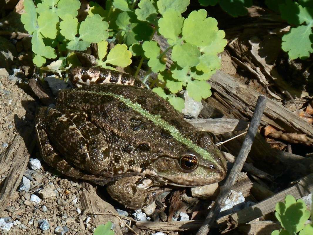 ������� ������� ����� njkzy ��������  �� PhotoGeek.ru #�������� ���