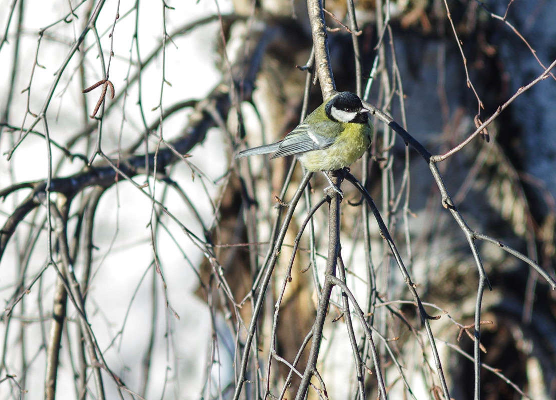 ���� ����� ����� njkzy ��������  �� PhotoGeek.ru #�������� ���