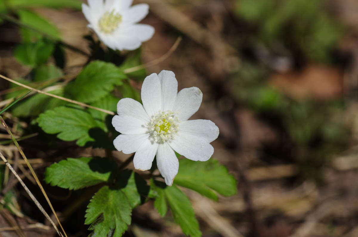 ����� ������ ����� njkzy ��������  �� PhotoGeek.ru #�����