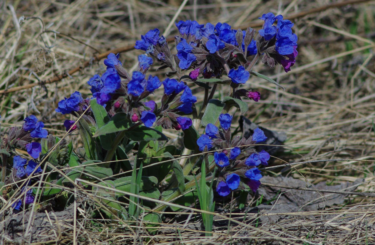 ������ ����� ����� ����� njkzy ��������  �� PhotoGeek.ru #������ ��� �������