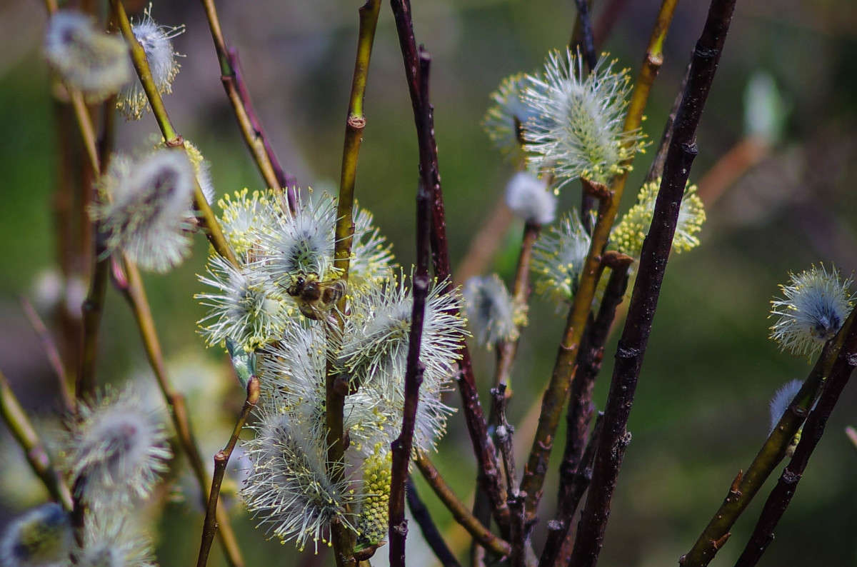 ������ ��������� ����� njkzy ��������  �� PhotoGeek.ru #������ ��� �������