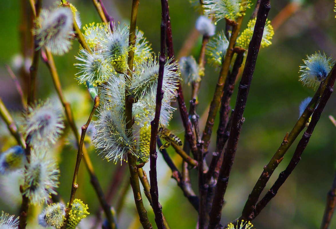 �� ������ ����� ����� njkzy ��������  �� PhotoGeek.ru #������ ��� �������