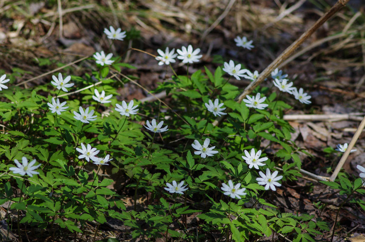 �������� ����������� ����� njkzy ��������  �� PhotoGeek.ru #������ ��� �������