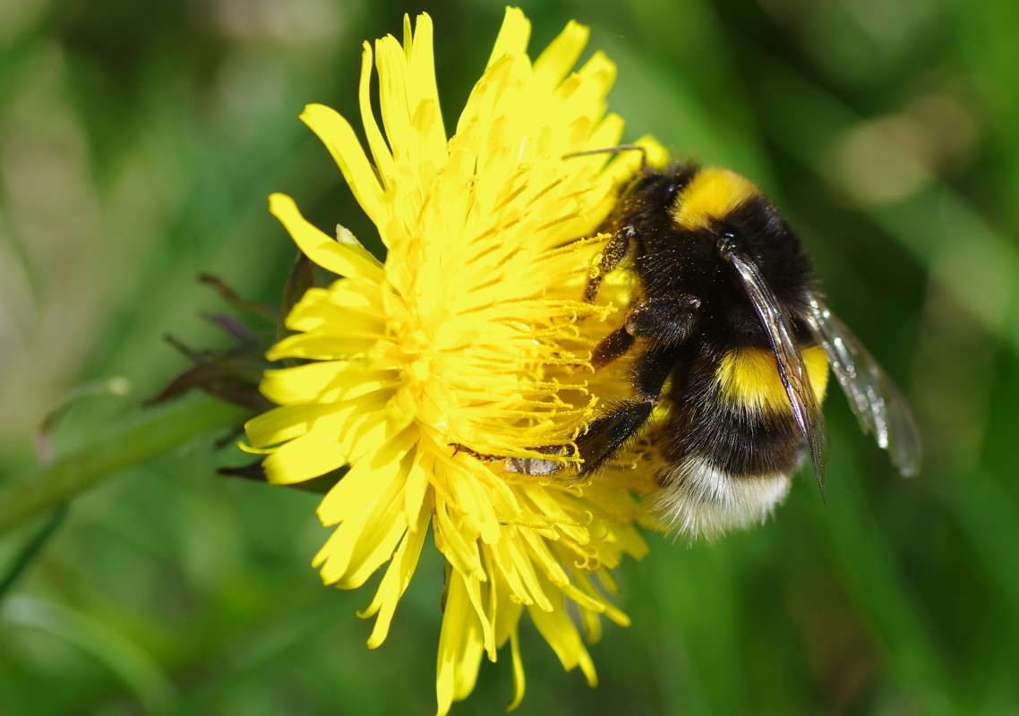 �������� ����� njkzy ��������  �� PhotoGeek.ru #�����