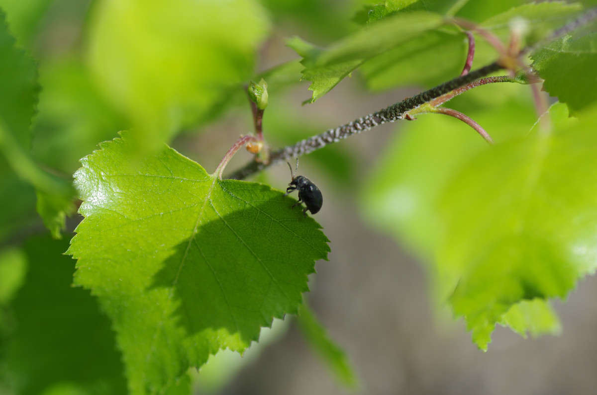 �������������� ����� njkzy ��������  �� PhotoGeek.ru #�����