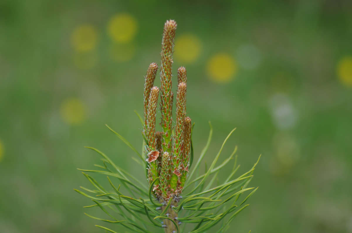 ������ ����� njkzy ��������  �� PhotoGeek.ru #����� #������ ��� �������