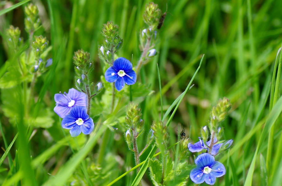 ... ����� njkzy ��������  �� PhotoGeek.ru #������ ��� �������