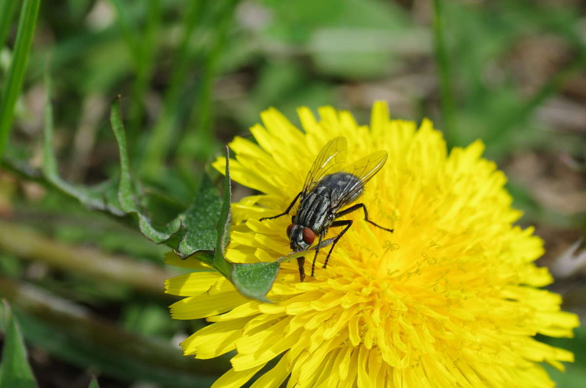 ... ����� njkzy ��������  �� PhotoGeek.ru #�����