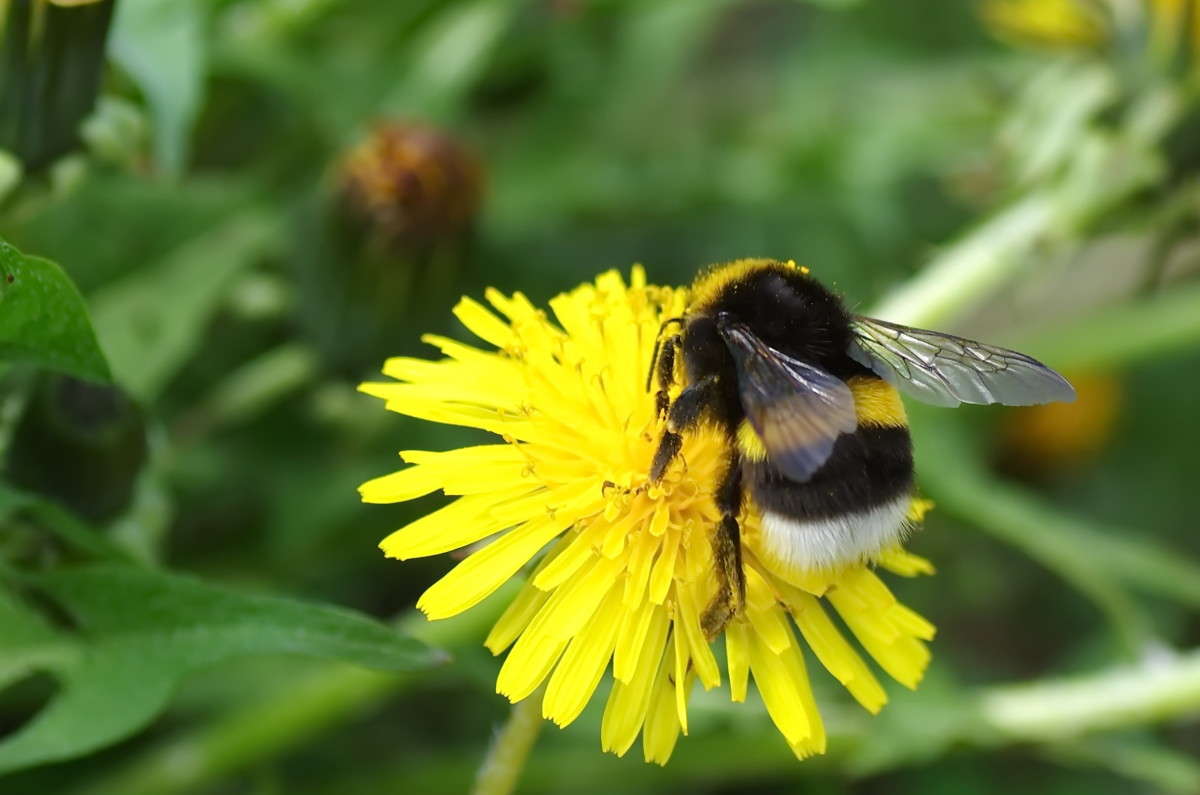 ... ����� njkzy ��������  �� PhotoGeek.ru #�������� ���