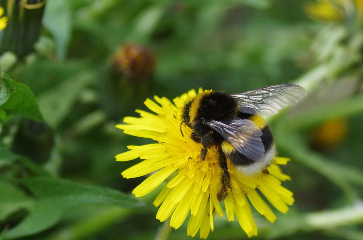 ... ����� njkzy ��������  �� PhotoGeek.ru #�����