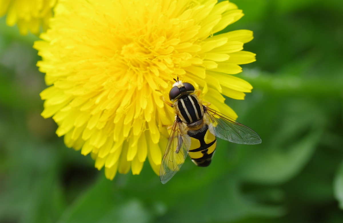 ... ����� njkzy ��������  �� PhotoGeek.ru #�������� ���