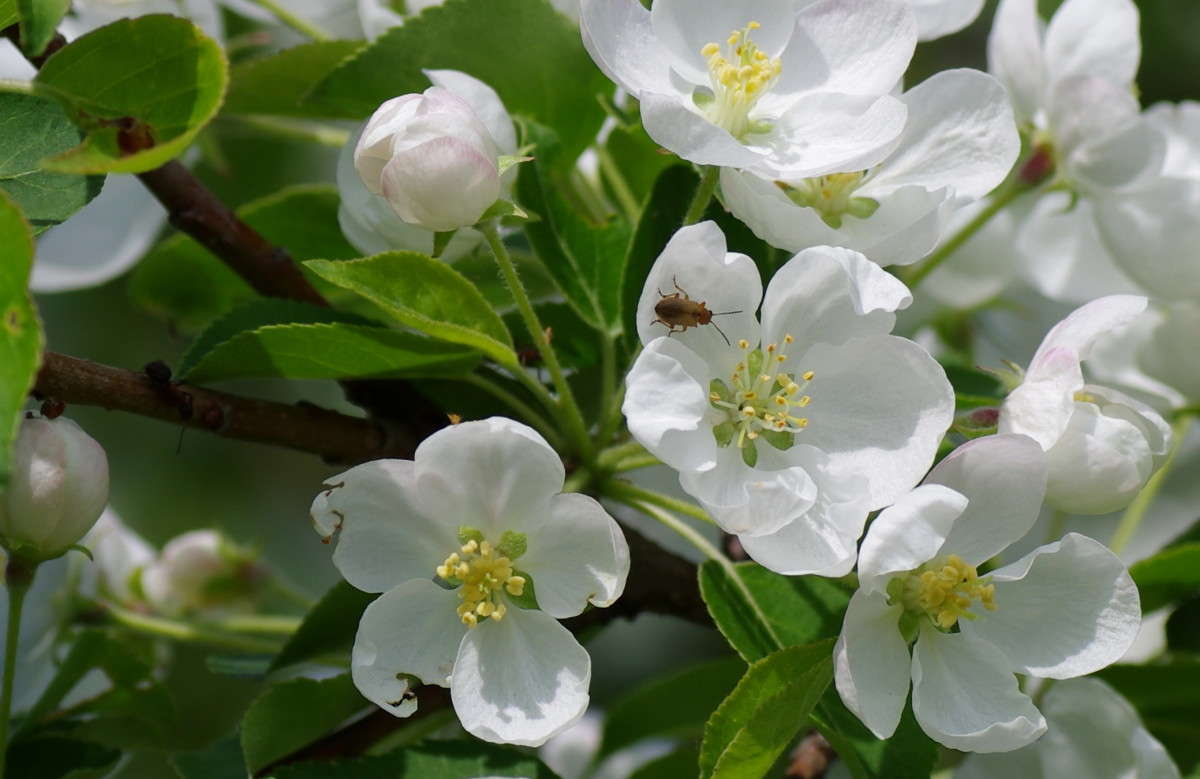 ... ����� njkzy ��������  �� PhotoGeek.ru #�������� ���