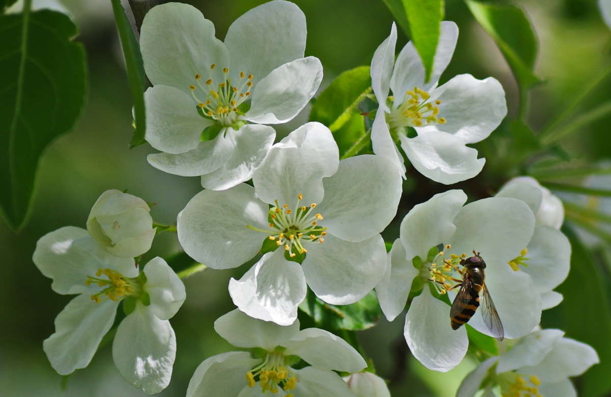 ... ����� njkzy ��������  �� PhotoGeek.ru #�������� ���