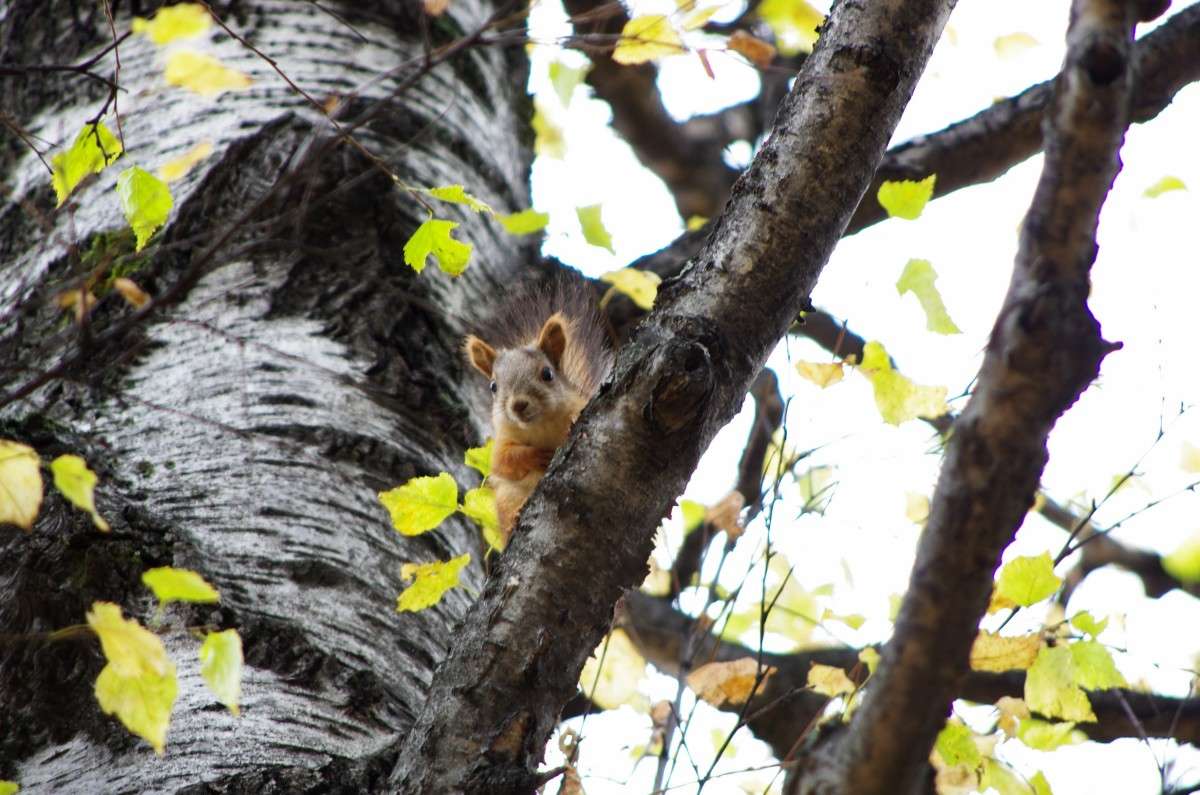 �������-- � ��� � �. ����� njkzy ��������  �� PhotoGeek.ru #�������� ���