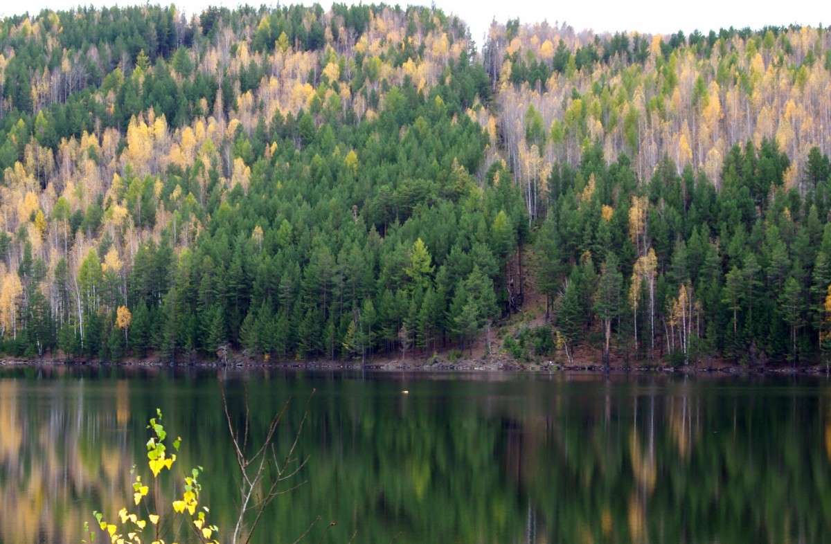 ������� ������� ����� njkzy ��������  �� PhotoGeek.ru #������ ��� �������