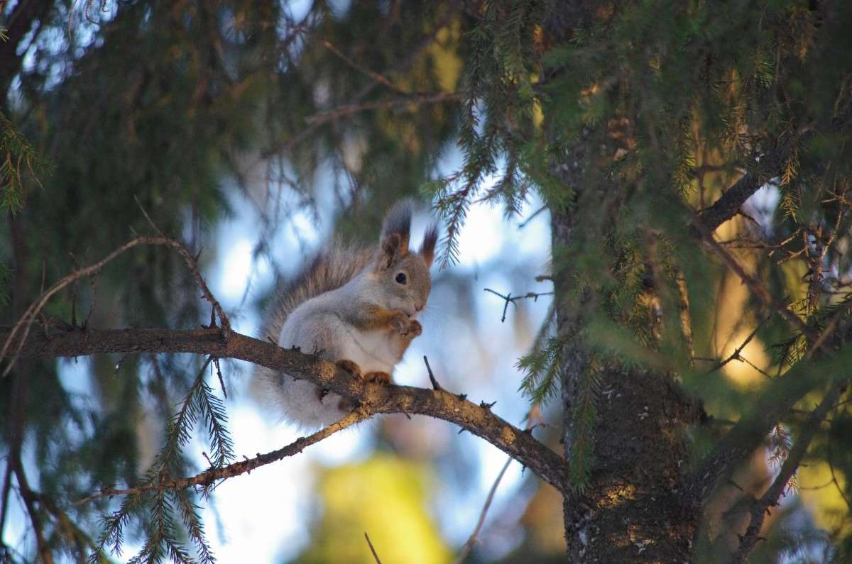 ��������� ������ �� ����� ����� njkzy ��������  �� PhotoGeek.ru #�������� ���