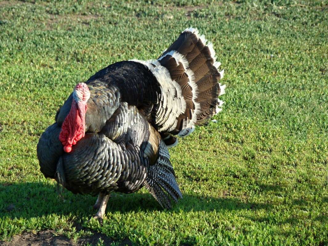 ������ ����� ����� njkzy ��������  �� PhotoGeek.ru #�������� ���