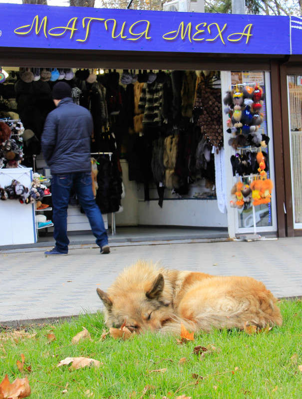 � ����������� ����� ����� ������� ������ �� PhotoGeek.ru #�������� ��� #�������� ���������� #�����-����