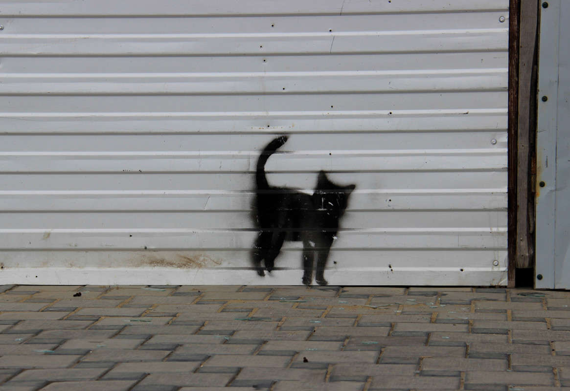 ������� ����� ������� ������ �� PhotoGeek.ru #����� #�����-���