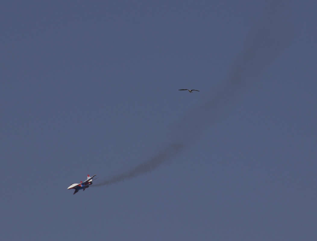 ����� ����� ������� ������ �� PhotoGeek.ru #������� #�������� ���������� #��������