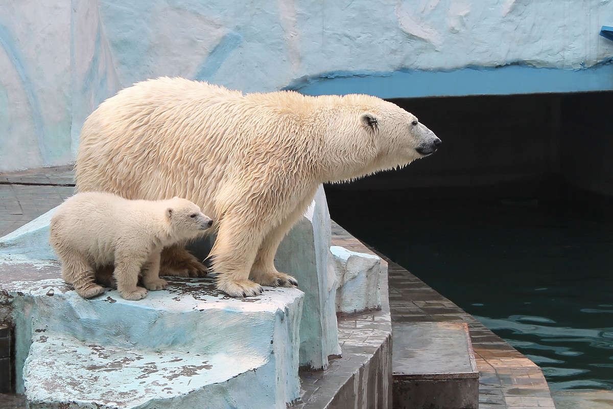 �������, ����������� �����   �� PhotoGeek.ru #�������� ���