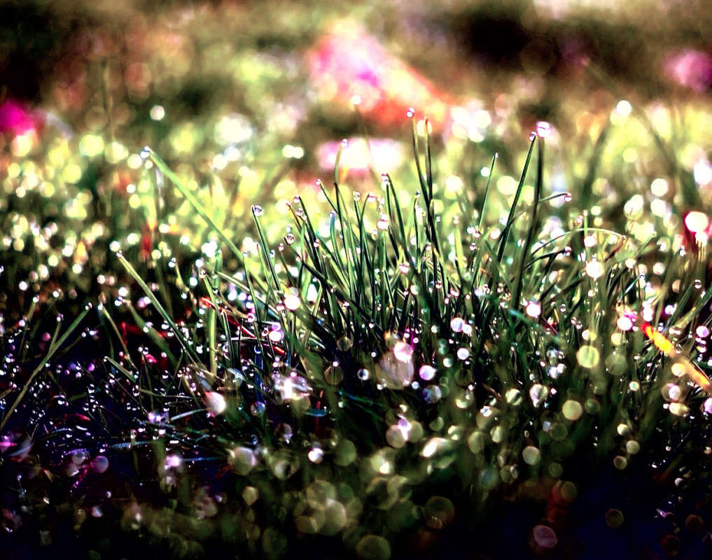 ������ ����� ���������  �� PhotoGeek.ru #������ ��� �������