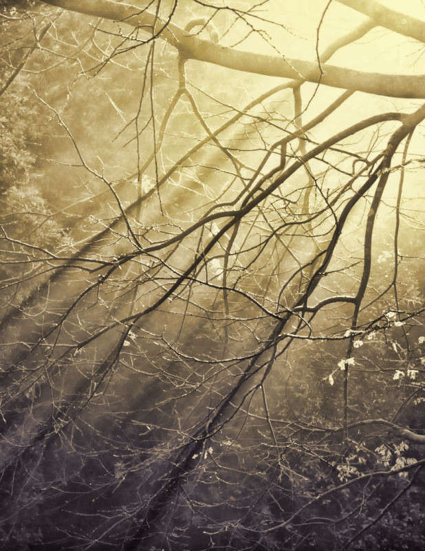 ����� ����� ���������  �� PhotoGeek.ru #������ ��� �������