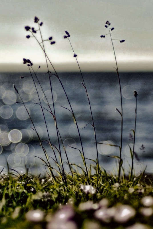 �� ������ ����� ���������  �� PhotoGeek.ru #������ ��� �������