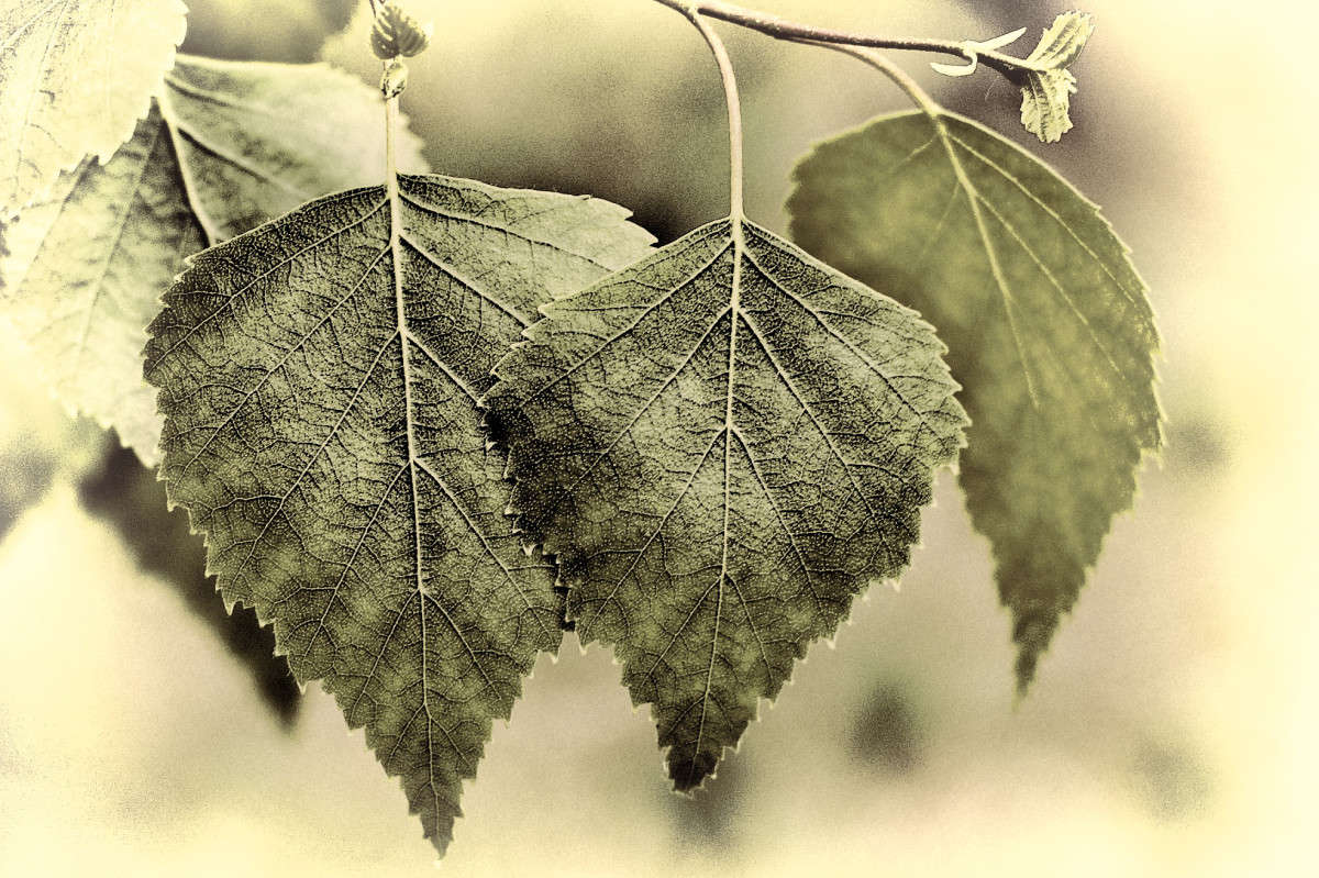 ������ ����� ���������  �� PhotoGeek.ru #������ ��� �������