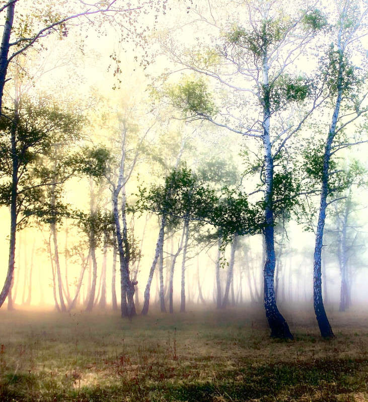 ����� ����� ���������  �� PhotoGeek.ru #������ ��� �������