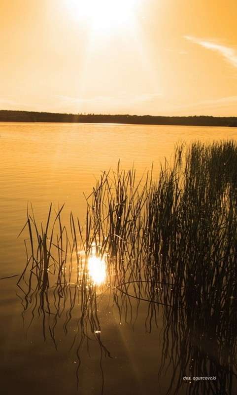 ���� ����� ���������  �� PhotoGeek.ru #������ ��� �������