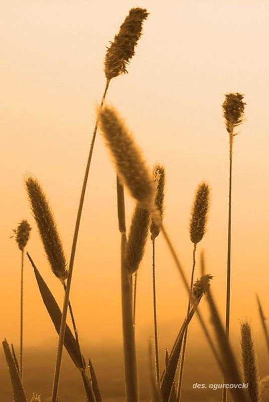 ���� ����� ���������  �� PhotoGeek.ru #������ ��� �������