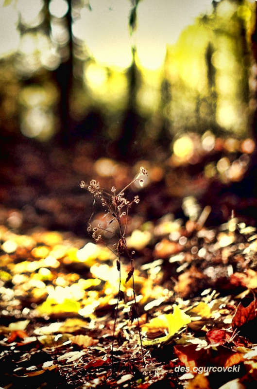 ����� ����� ���������  �� PhotoGeek.ru #������ ��� �������