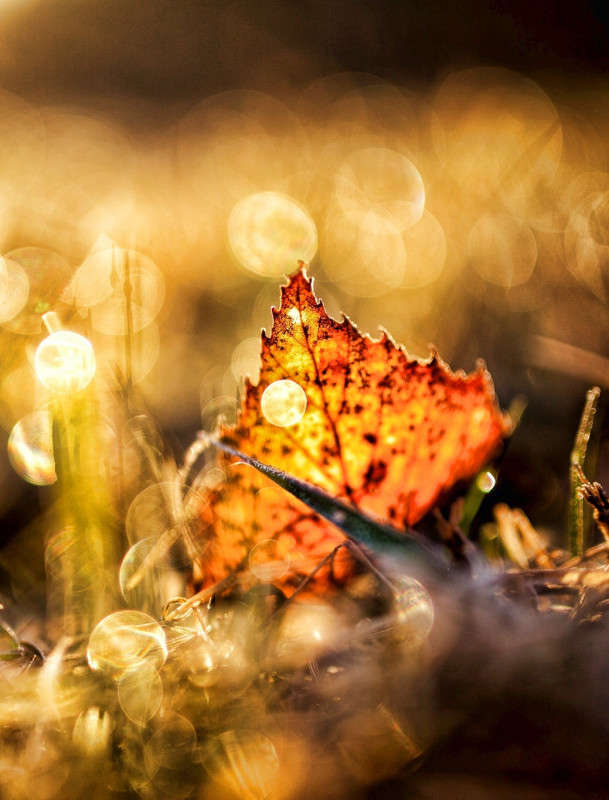 ����� ����� ���������  �� PhotoGeek.ru #������ ��� �������