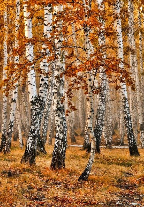 ������ ����� ����� ���������  �� PhotoGeek.ru #������ ��� �������