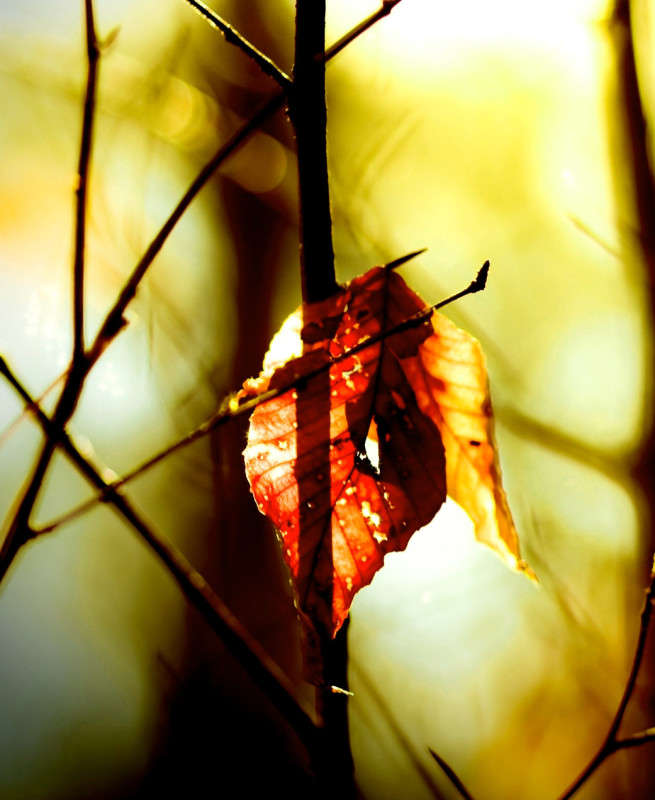 ������ ����� ����� ���������  �� PhotoGeek.ru #������ ��� �������